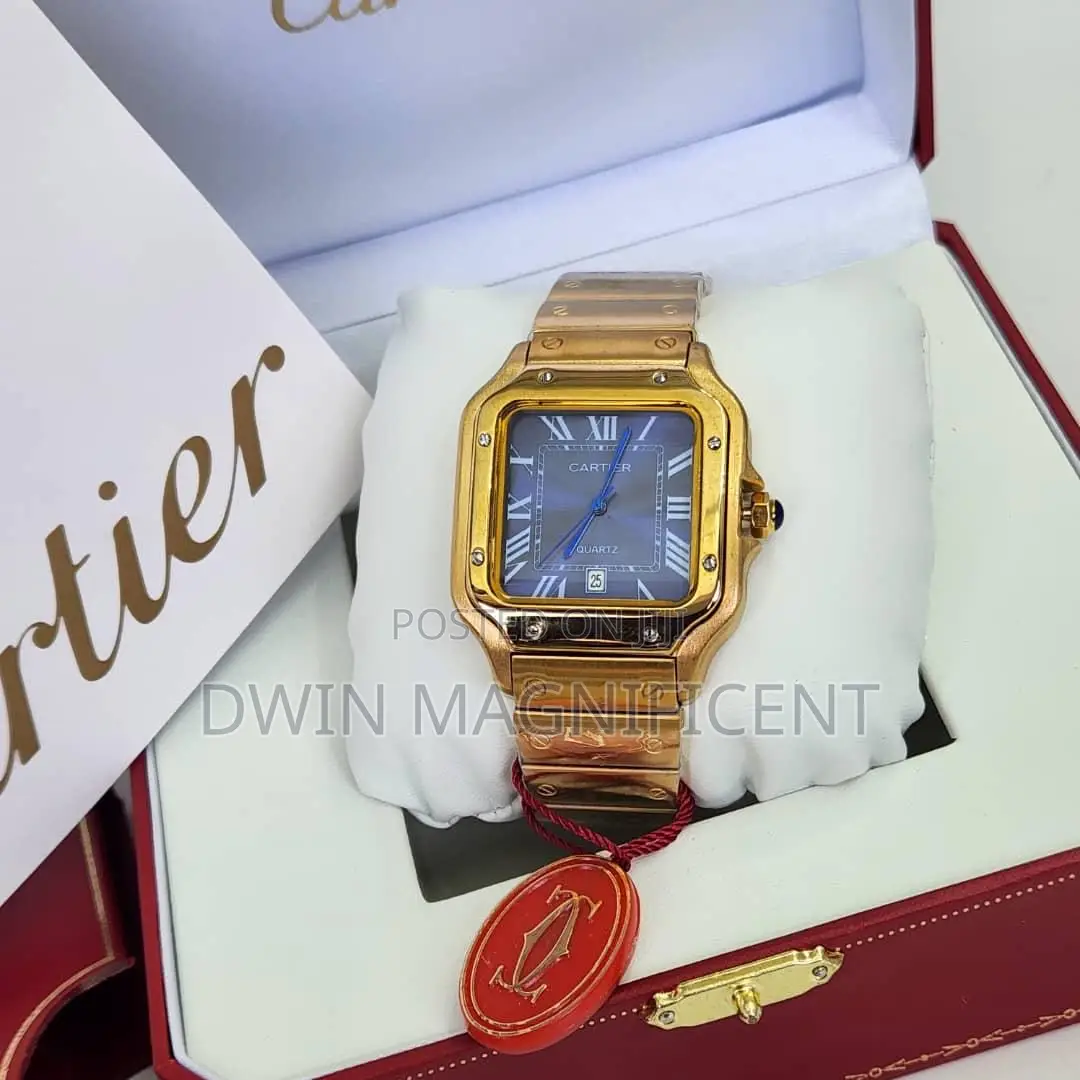 Santos De Cartier Watches
