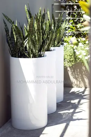 The Garden Designers