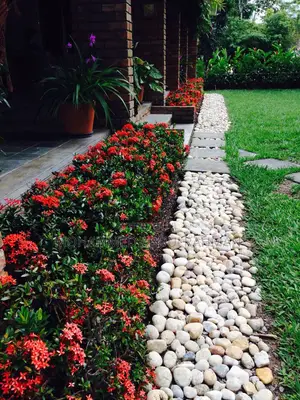 The Garden Designers