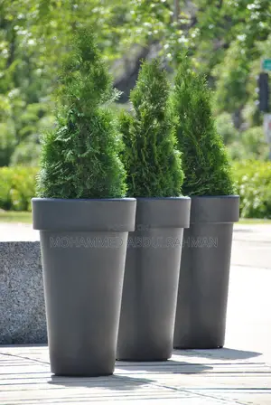 The Garden Designers