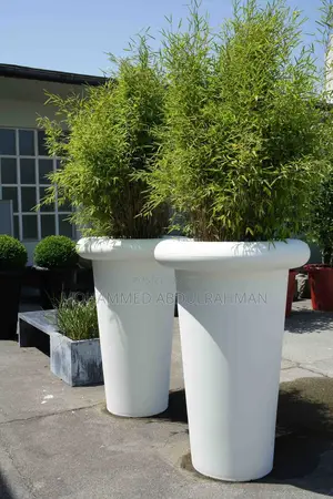 The Garden Designers