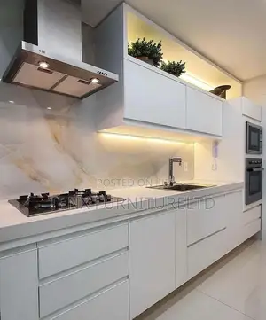 Kitchen Cabinet (Built Inn)