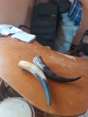 Original Cow Horn
