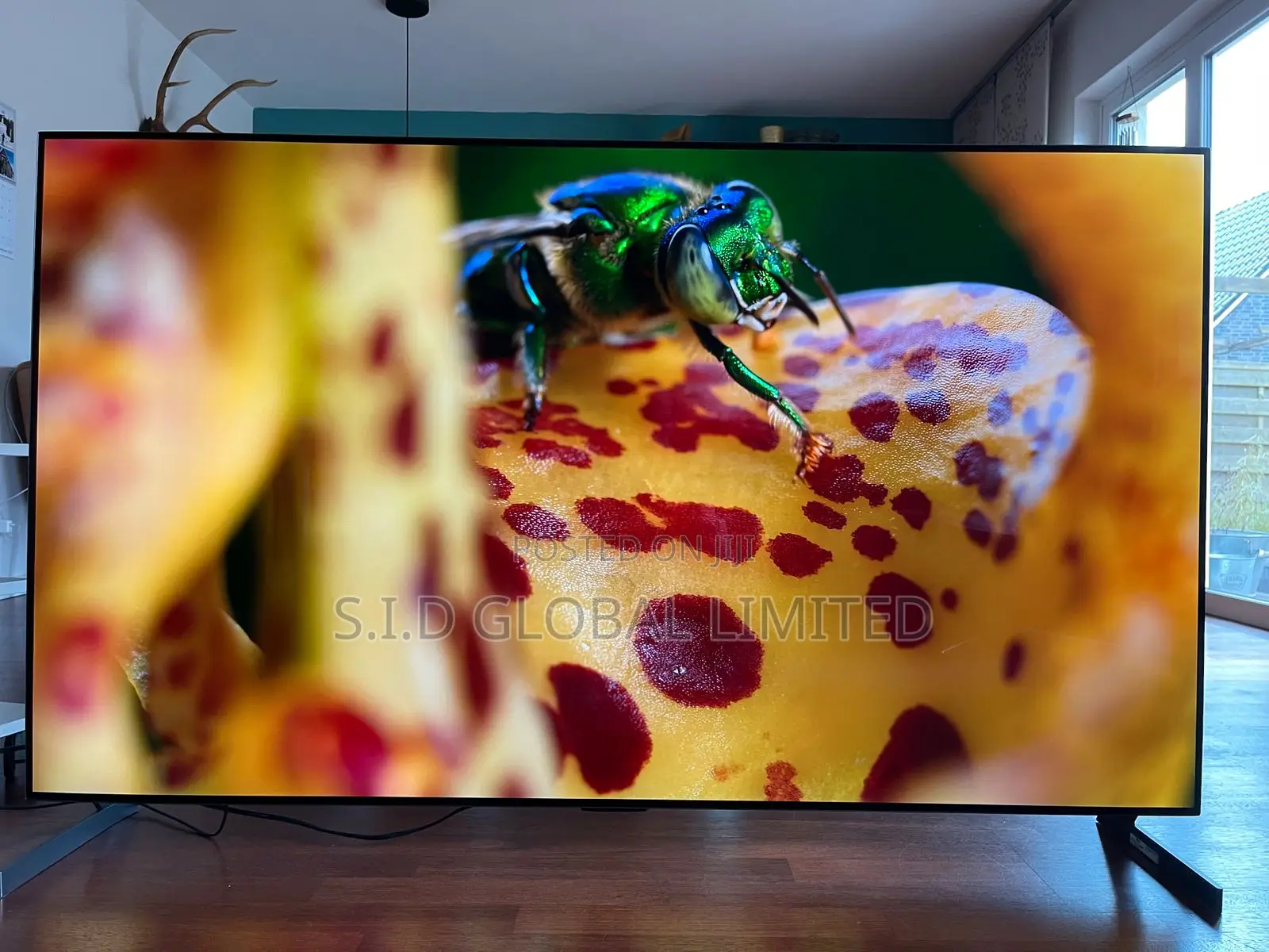 SELF-LIT Pixels | LG OLED55A1 Webos Smart TV, 55inches