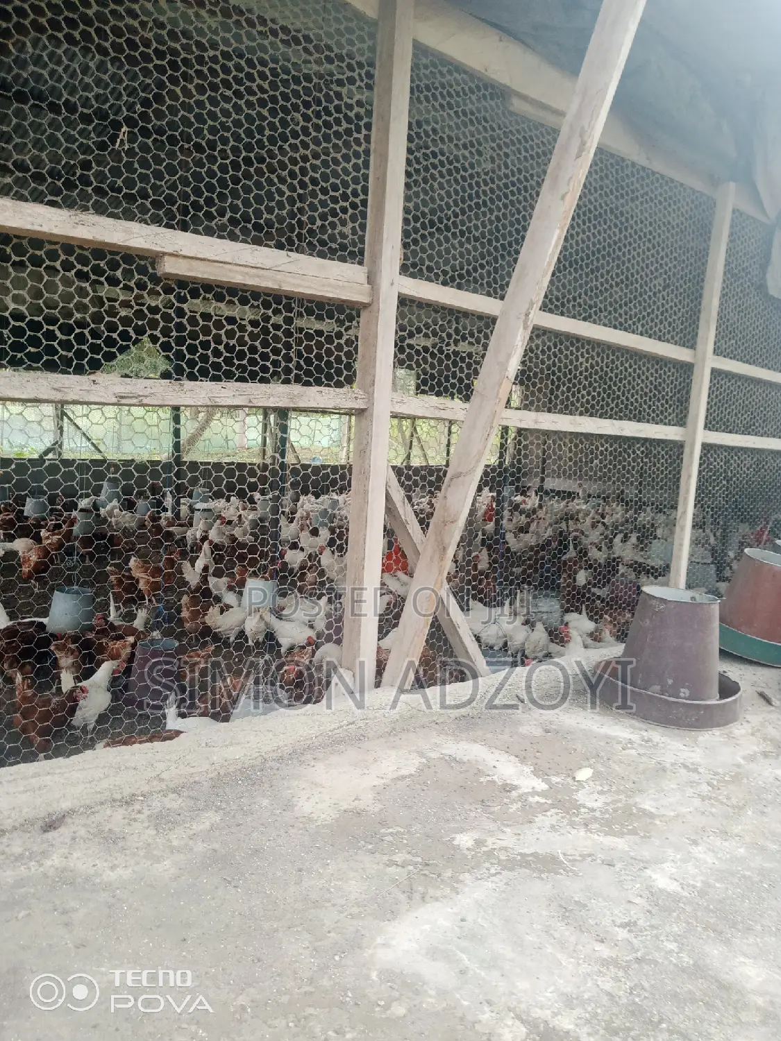 9 Plot Of Land And Poultry Farm For Sale