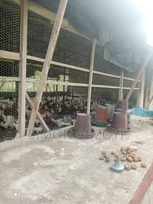 9 Plot Of Land And Poultry Farm For Sale