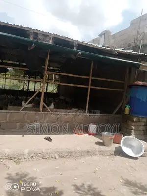 9 Plot Of Land And Poultry Farm For Sale