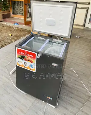 Buy Authentic Zara 200 Single Door Chest Freezer(Gray).