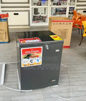 Durable Zara 200 Single Door Electric Freezer(Gray).