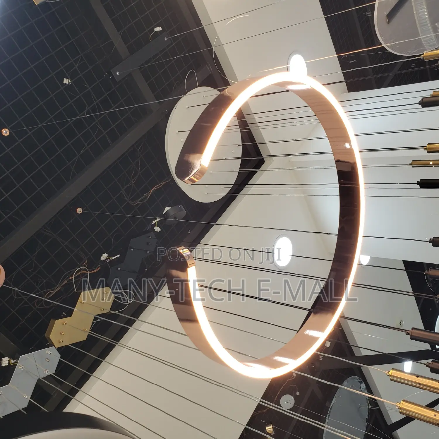 Luxurious Ceiling LED Pendant Light.