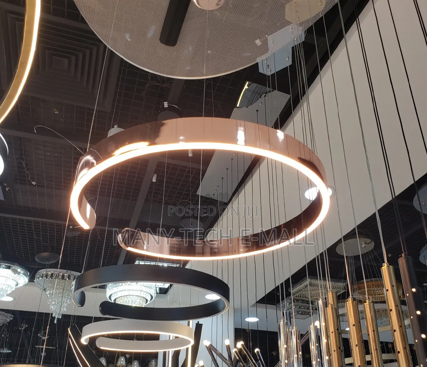 Luxurious Ceiling LED Pendant Light.