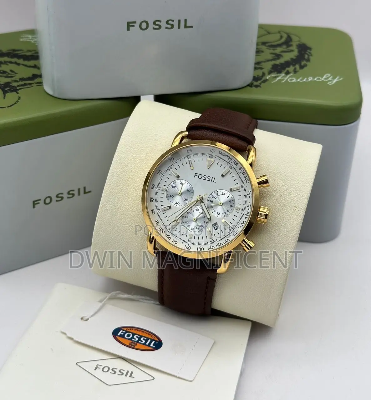 Fossil Goodwin Watches