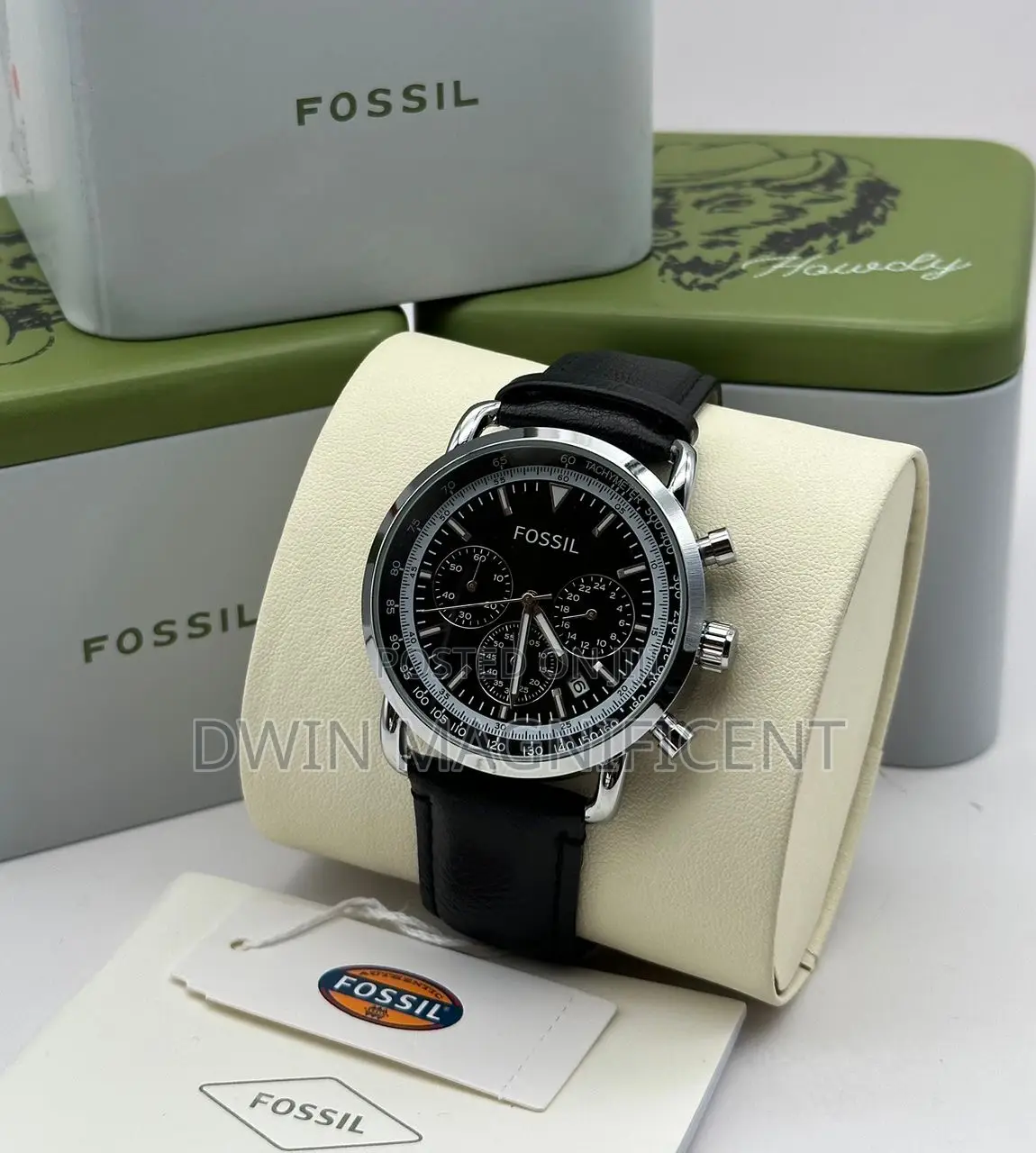 Fossil Goodwin Watches