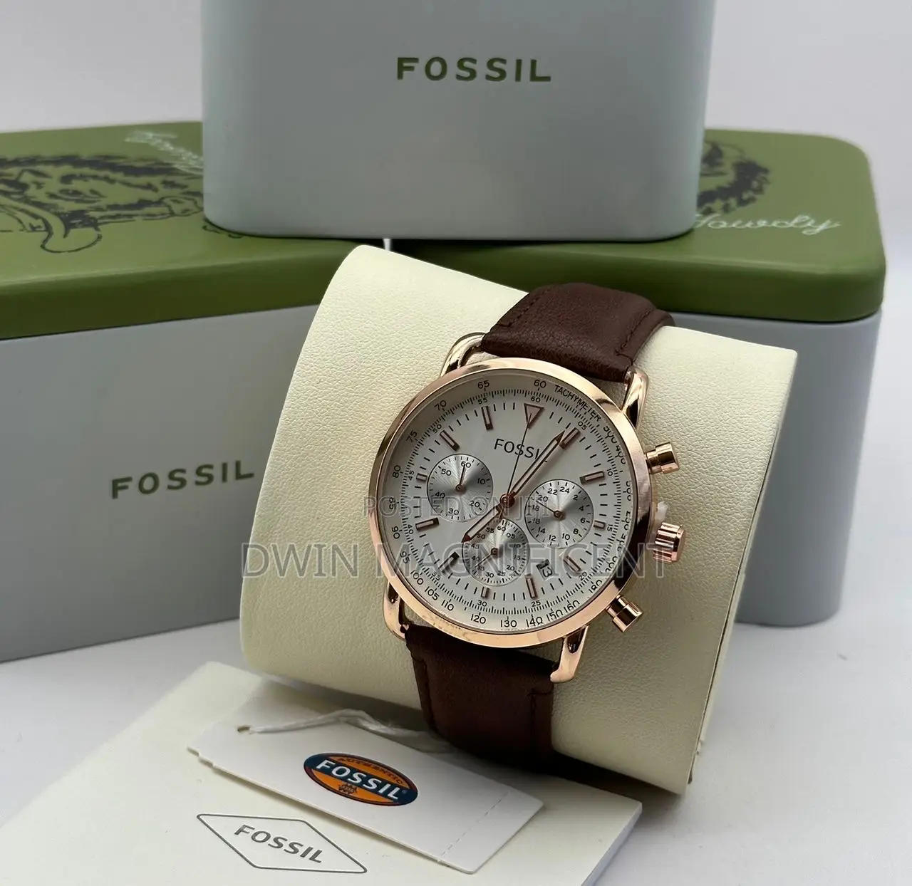 Fossil Goodwin Watches