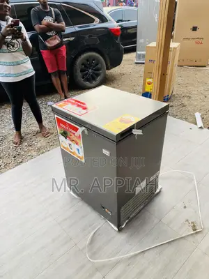 Shop Zara 200 Single Door Electric Freezer(Gray).