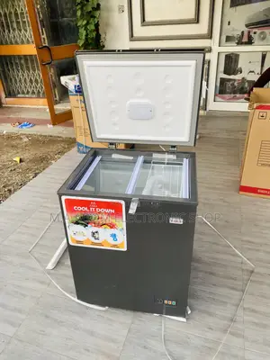 Shop Authentic Zara 200 Single Door Electric Freezer.