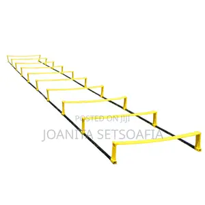 Elevation Ladder