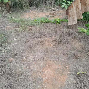 Plot for Sale at Kweikuma High Court