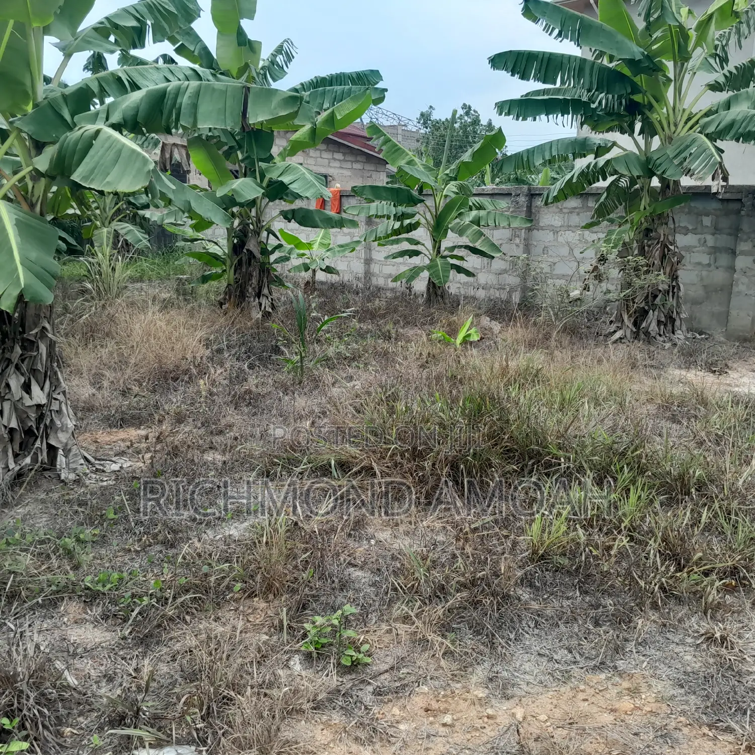 Plot for Sale at Essipon