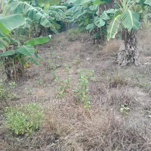 Plot for Sale at Essipon
