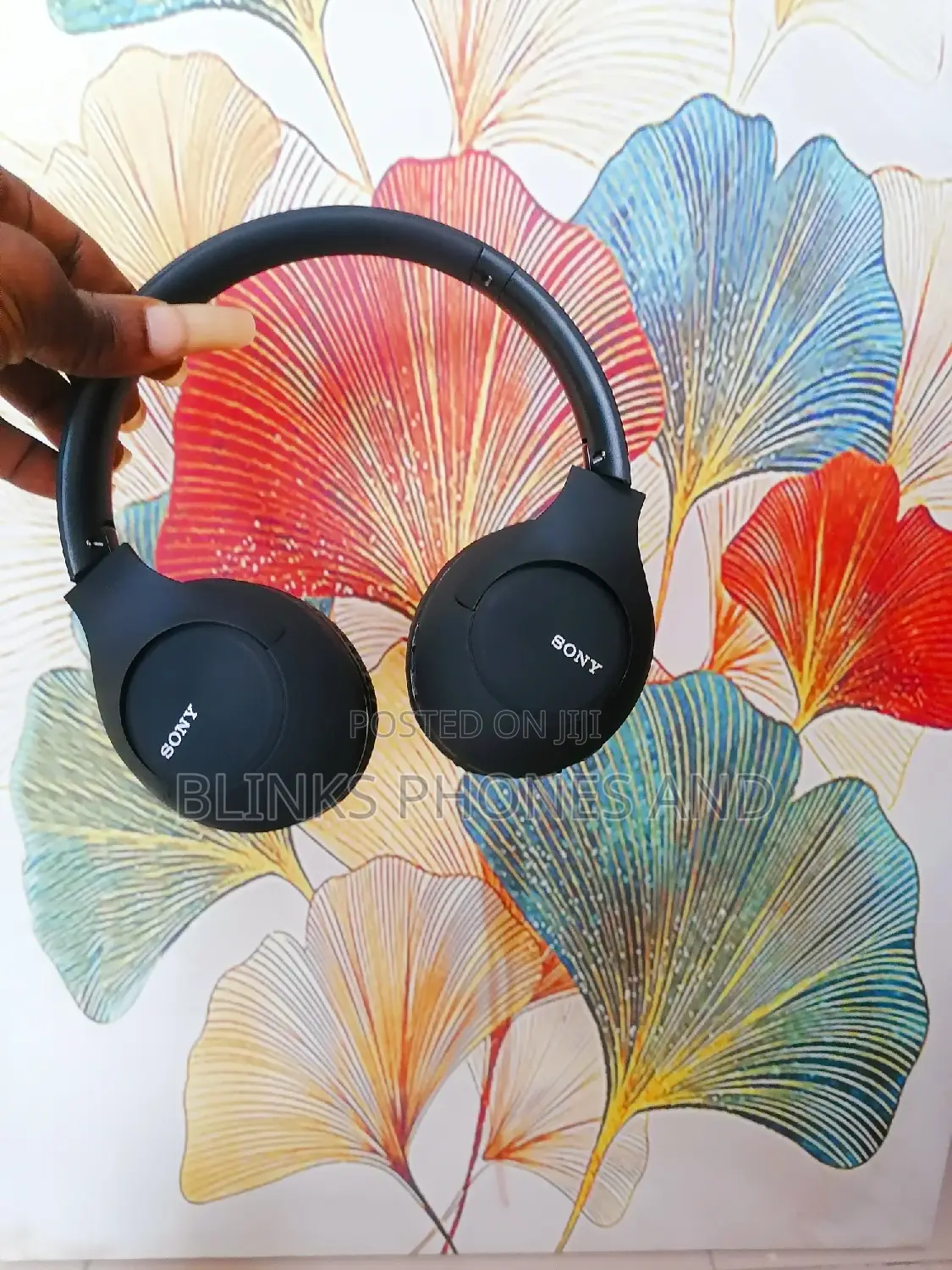 Sony Wireless 900