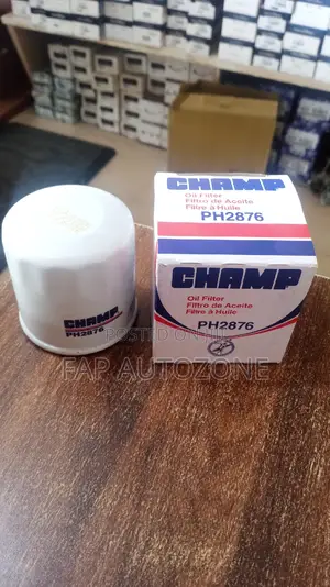 10588. Original Champ Oil Filter From Usa. Ph2876