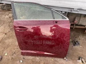 Lexus Rx350 Door 2019