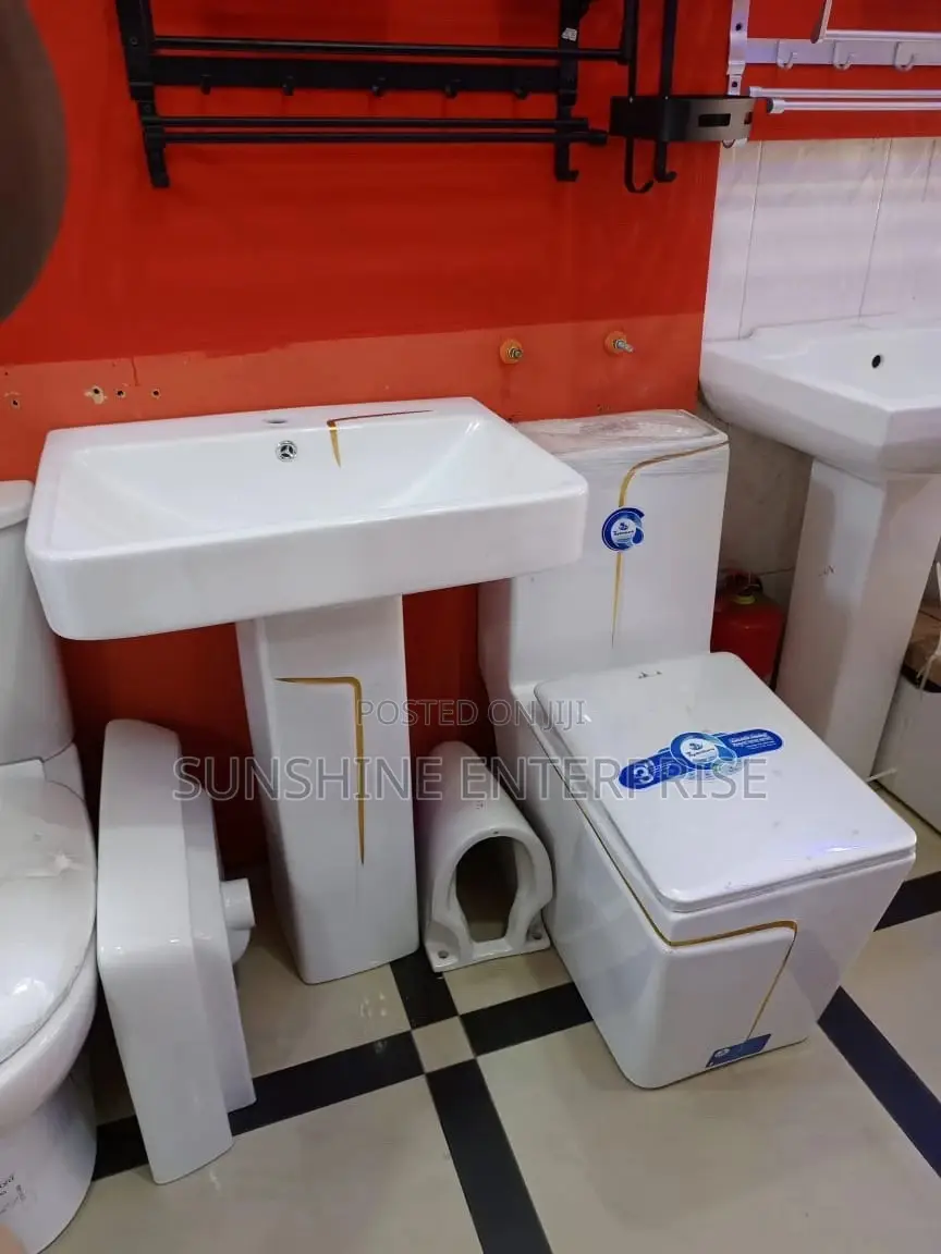 White and Gold Water Closet and Wash Hand Basin Set