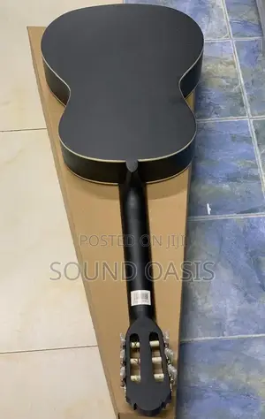 New Professional Acoustic Guitar