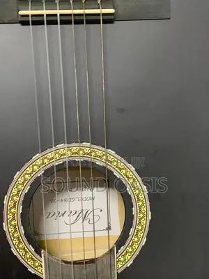 New Professional Acoustic Guitar