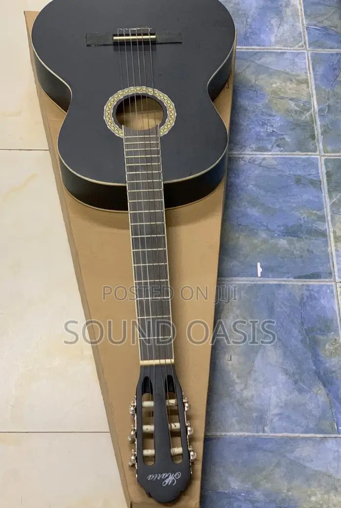 New Professional Acoustic Guitar