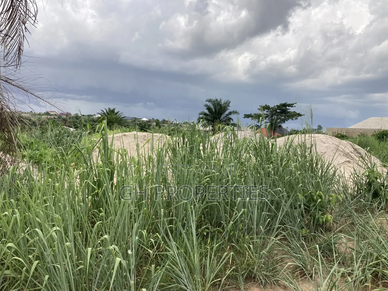 Two Plots for Sale at Trede Area.