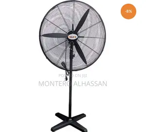 30 Inches Industrial Fan