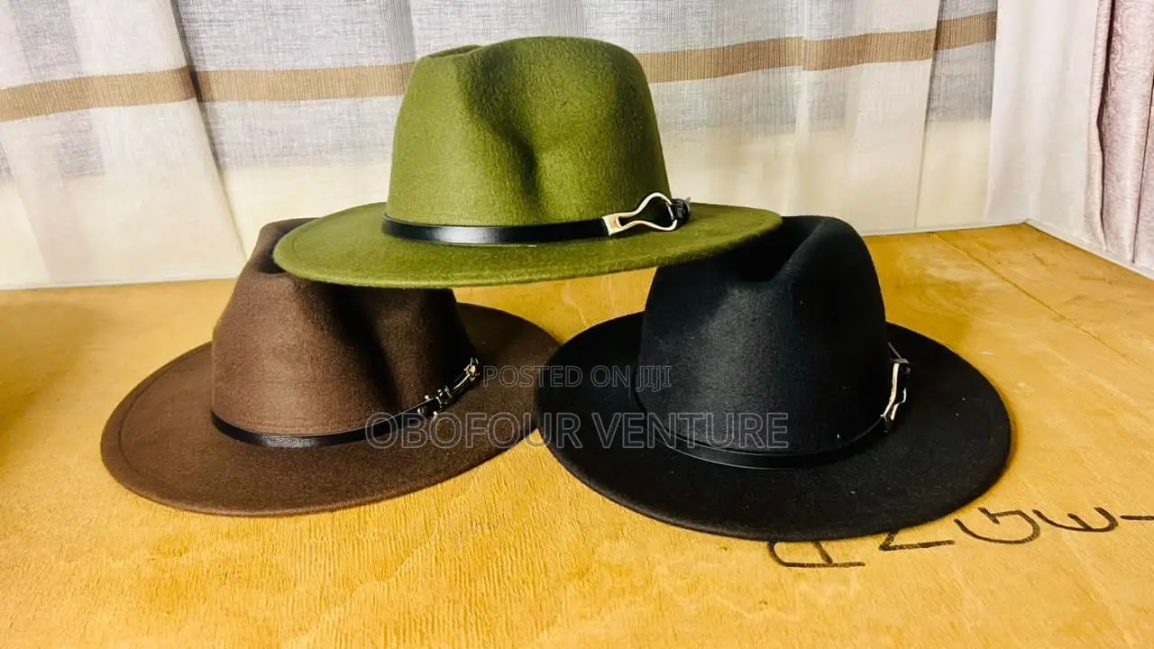The Fedora Hats    a Hat for Every Season and All Occasions
