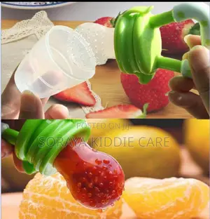 Baby Fruit Feeder