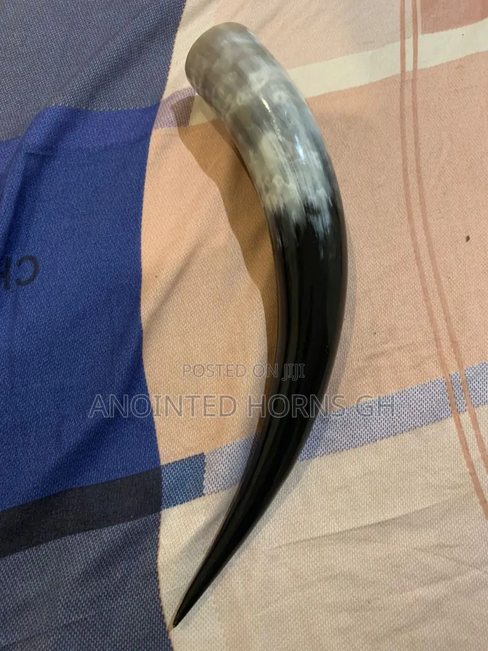 Original Cow And Sheep Horn