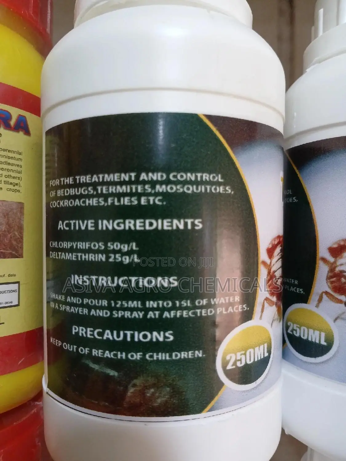 Top Bugs (Bedbug Control)