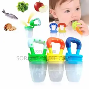 Baby Fruit Feeder