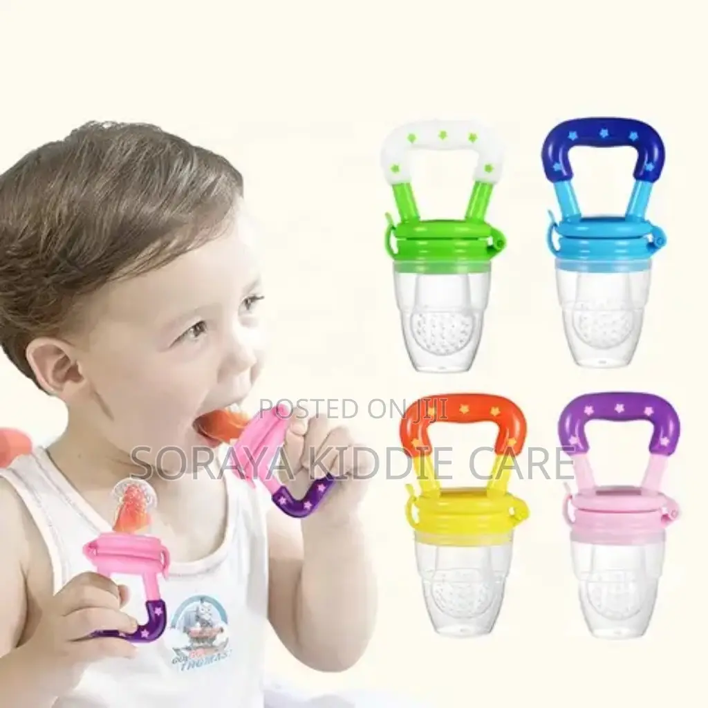 Baby Fruit Feeder