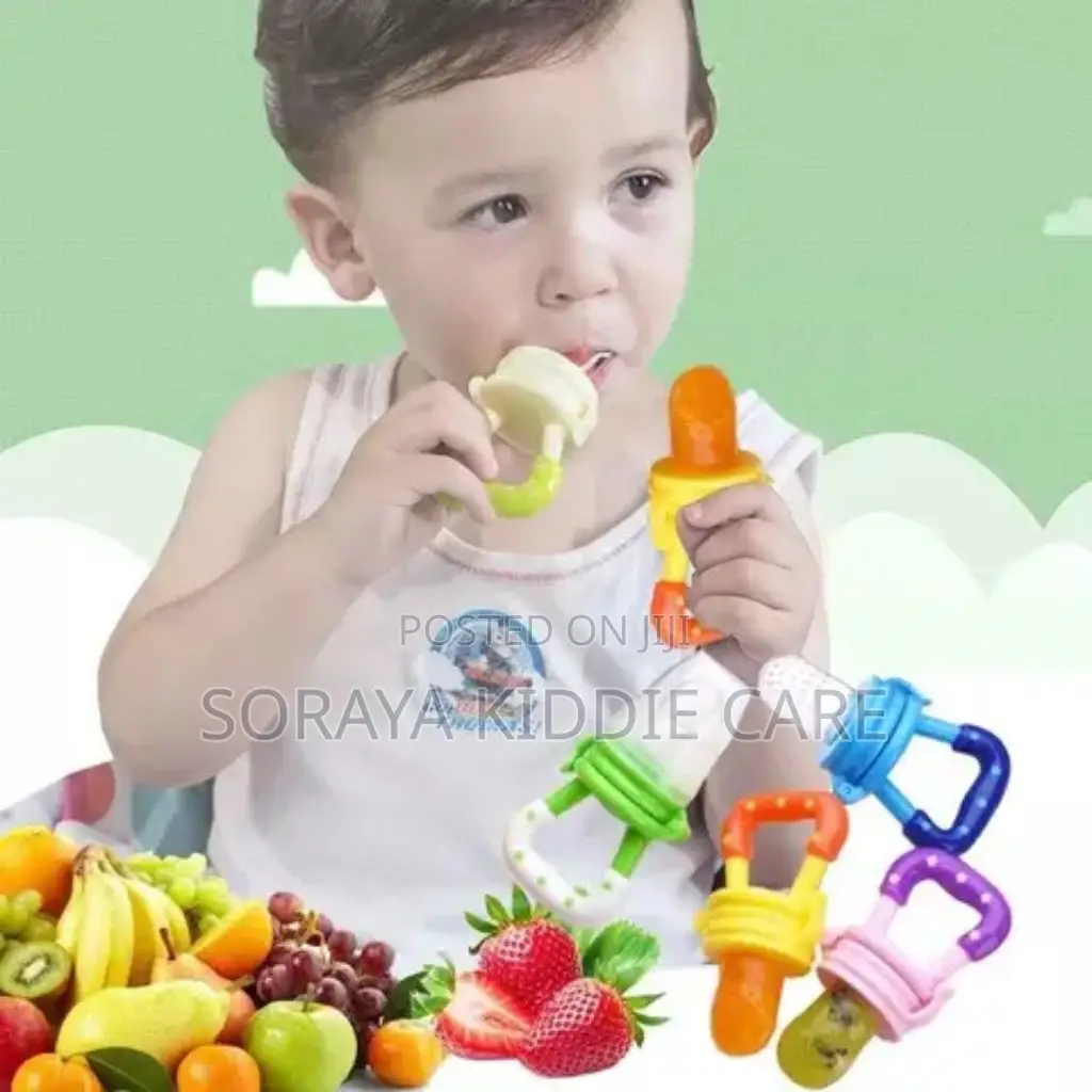 Baby Fruit Feeder