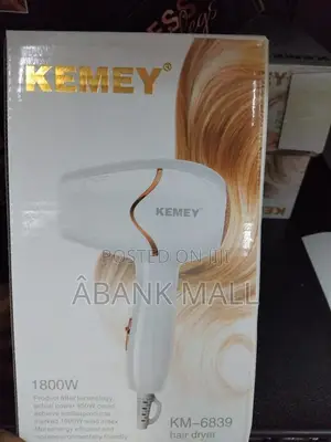 Hair Dryer (KM-6839)