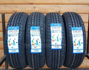 165/70r14 Tire All Season FORTUNE