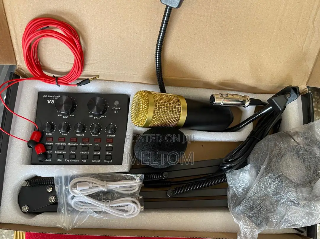 Legendary V8 Studio Condenser Microphone With Live Soundcard