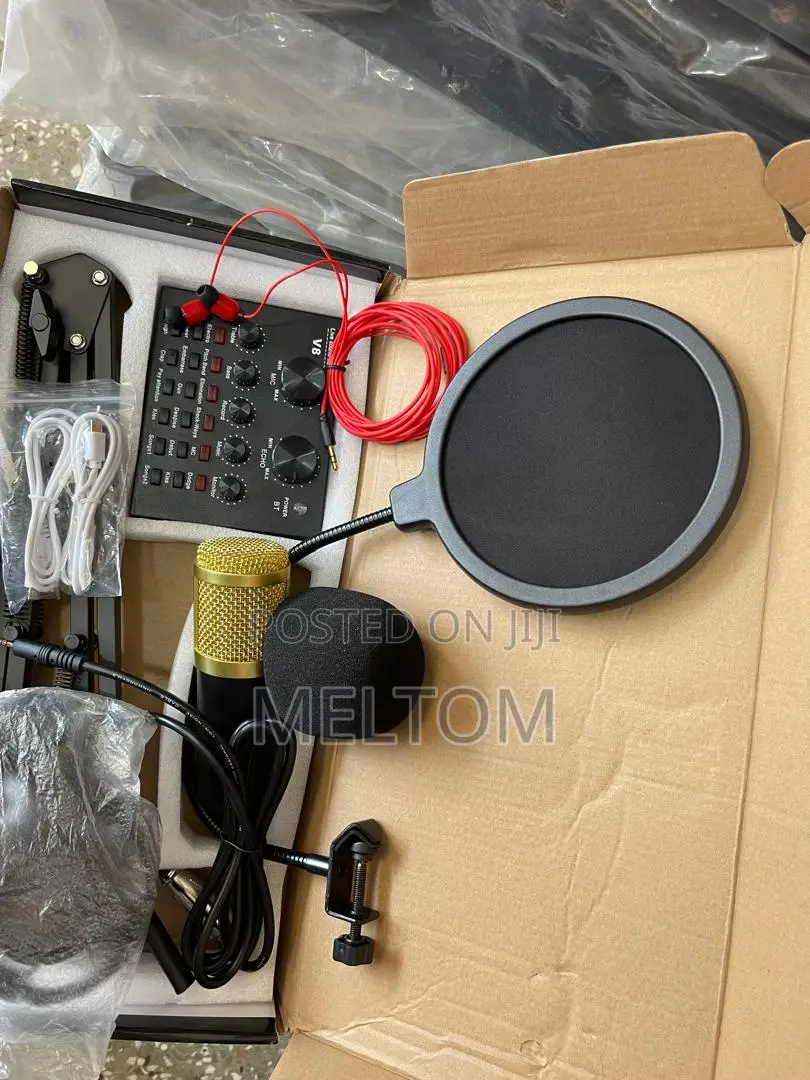 Legendary V8 Studio Condenser Microphone With Live Soundcard