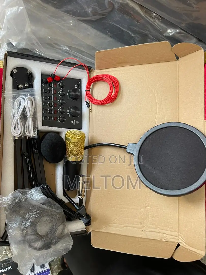 Legendary V8 Studio Condenser Microphone With Live Soundcard