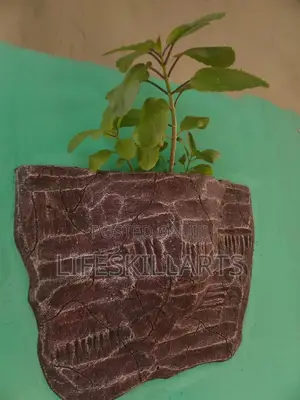 Cement Art and Decorations