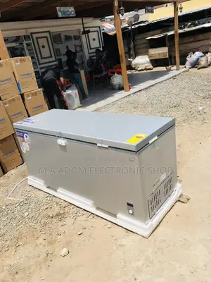 Extremely Cooling Nasco 2 Door Chest Freezer(Nas-1200fl-Dd).