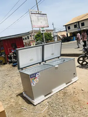 Extremely Chilling Nasco Nas-1200fl-Dd 2 Door Chest Freezer.