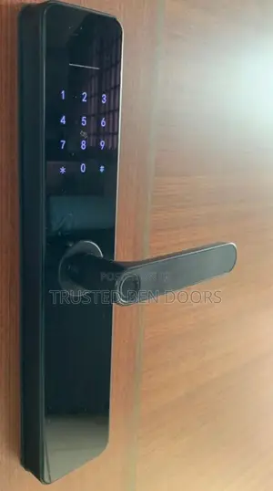 Quality Gnb Smart Lock For Security /Wooden Doors