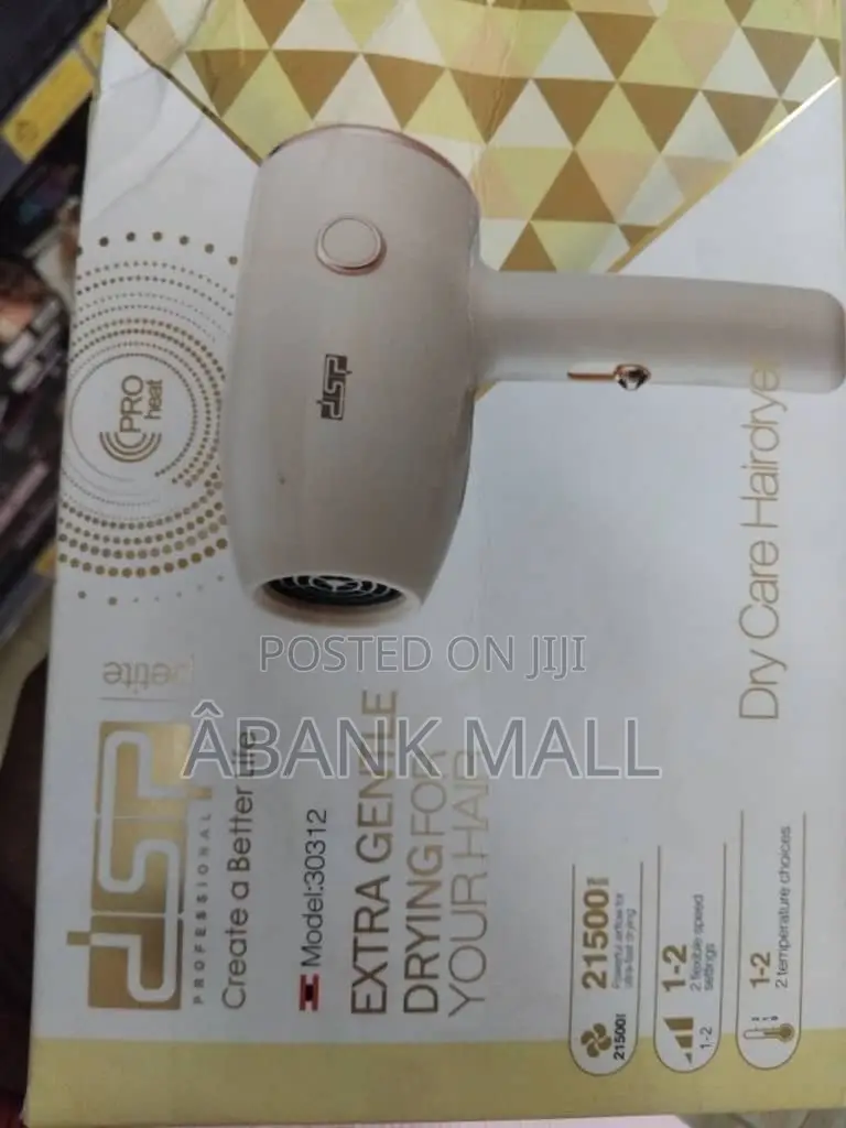 Mini Hair Dryer